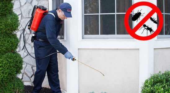 Doğankent Bit İlaçlama böcek ilaçlama ve haşere kontrolü — ilaclama-tr.com